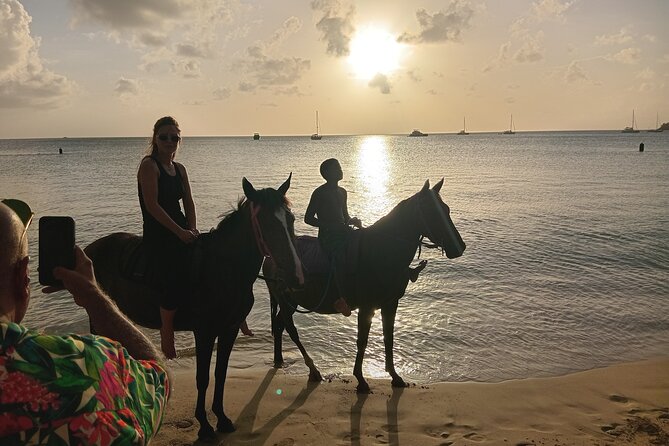 2 Hour Horseback Riding Sunset Tour with Dore's Riding Stable - Choosing between Pigeon Pointe and Emerald Bay