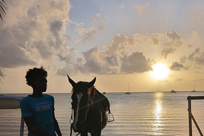 2 Hour Horseback Riding Sunset Tour with Dore's Riding Stable - Foals, Silver, and the character of the stable