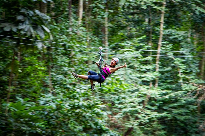 Adrena-Line Zipline, St. Lucia - Key points at a glance