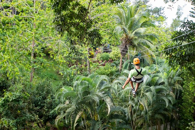 Adrena-Line Zipline, St. Lucia - The forest walk adds more than a trip to the platforms