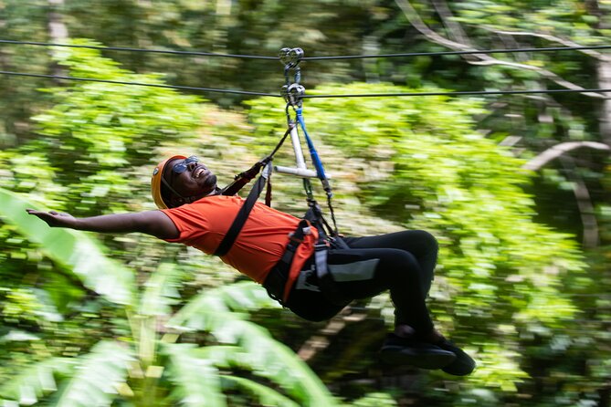 Adrena-Line Zipline, St. Lucia - What the two-and-a-half-hour schedule really means