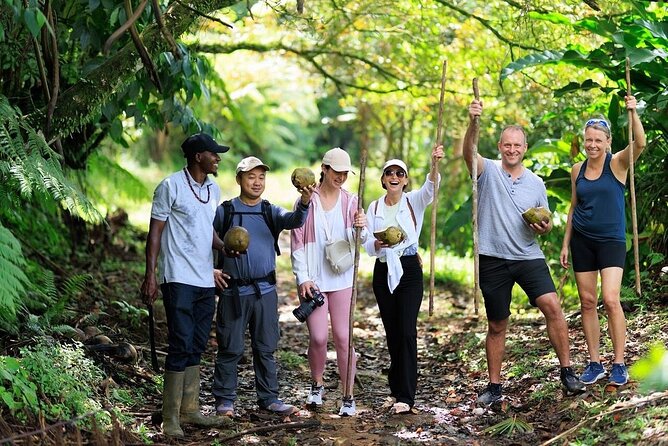ATV Rainforest Adventure in St. Lucia - From Belle Plaine into the rainforest