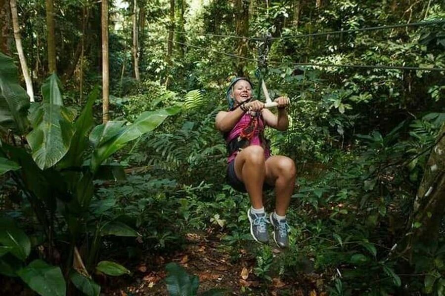 Babonneau/Castries: Rainforest Zip Line, Tram, and Hike Tour - Key Points