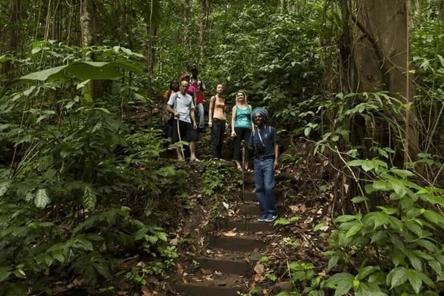 Babonneau/Castries: Rainforest Zip Line, Tram, and Hike Tour - One Morning, Three Ways to See the Rainforest