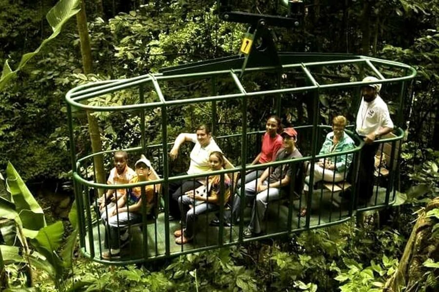 Babonneau/Castries: Rainforest Zip Line, Tram, and Hike Tour - Eight Zip Lines Across Nine Platforms