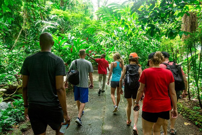 Best of Both Worlds Land and Sea Adventure - Sulphur Springs, St Lucia’s volcanic core