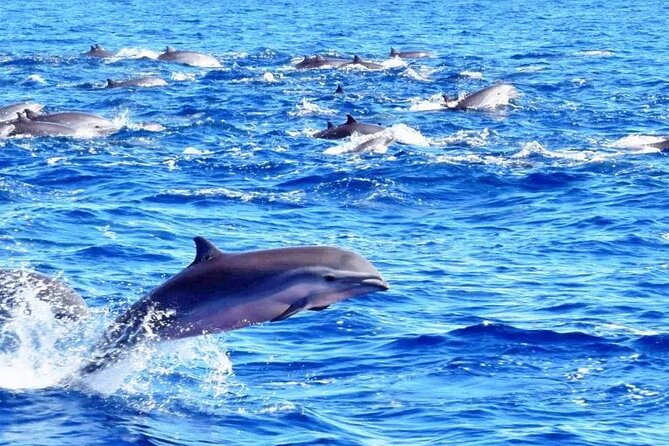 Best Of Full-Day Snorkeling & Beach Excursion with lunch & drinks - The people make the difference