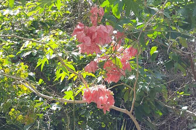 Bird Watching Tour in St Lucia - Who will enjoy this outing most
