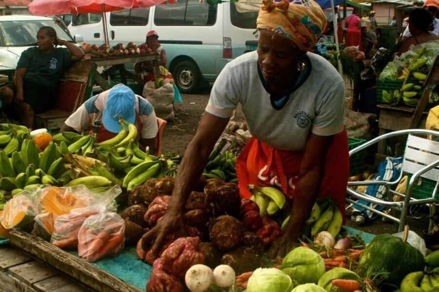 Castries: Guided City Architecture and Castries Market Tour - Castries Central Market: the heart of the outing