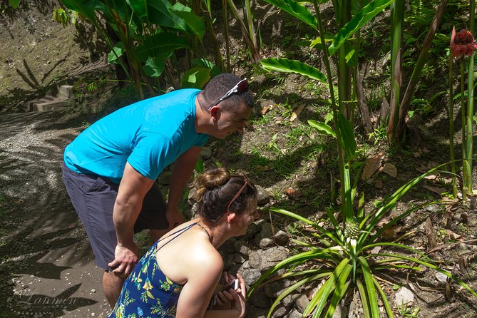 Couples Private St. Lucia Highlights Tour - Rum tasting at the island’s rum shop
