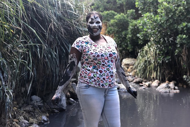Cruise Excursions in St. Lucia - Diamond Falls Botanical Gardens in 45 minutes