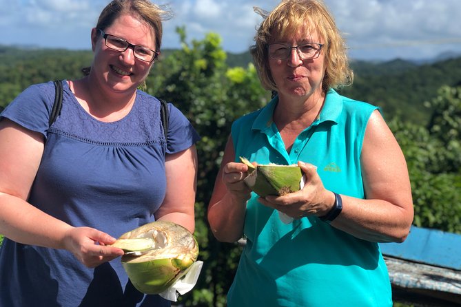 Cruise Excursions in St. Lucia - Marigot Bay, waterfalls, and a route that changes with time