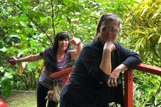 Cruise Excursions in St. Lucia - West coast views and the first taste of the island
