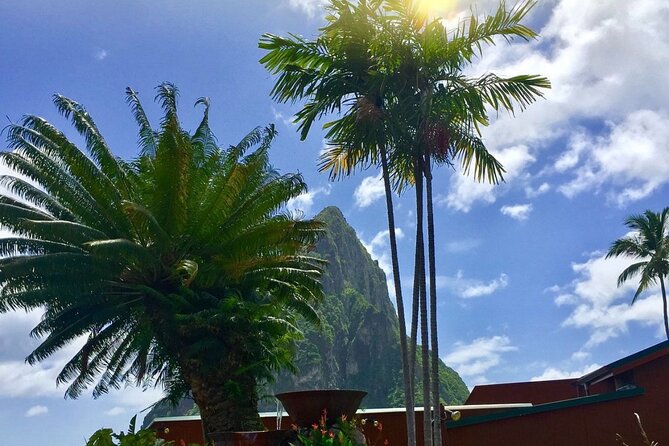 Cruise Port and Airport Arrival Transfers to Hotels in St. Lucia. - What the Ride Is Like From Pickup to Hotel