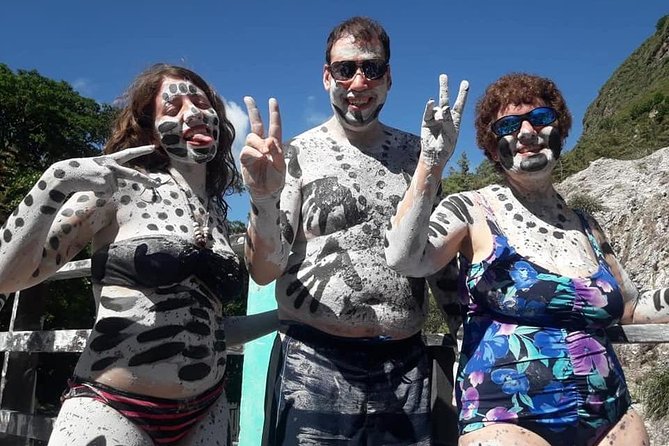Cruise Ship Excursions with Dannyboy & Co. - Diamond Falls Botanical Gardens, if time permits
