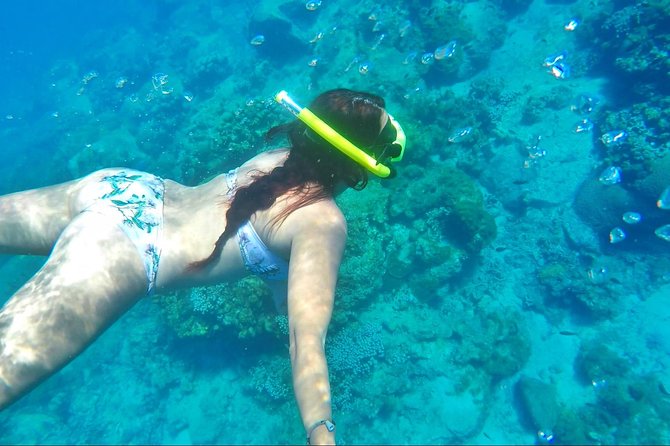 Dash and Splash Snorkel Adventure St Lucia - Timing, transport, and the three-hour limit