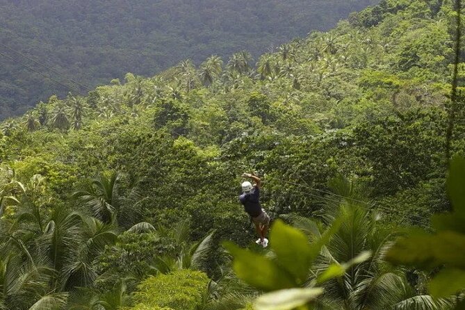Day of Adventure - Zipline and Hike or Bike - Why the rainforest setting changes the zipline experience