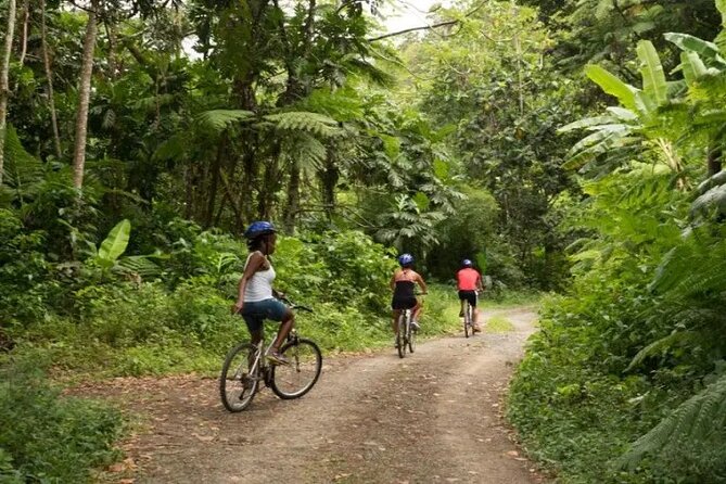 Day of Adventure - Zipline and Hike or Bike - Timing, pickup days, and what seven hours means
