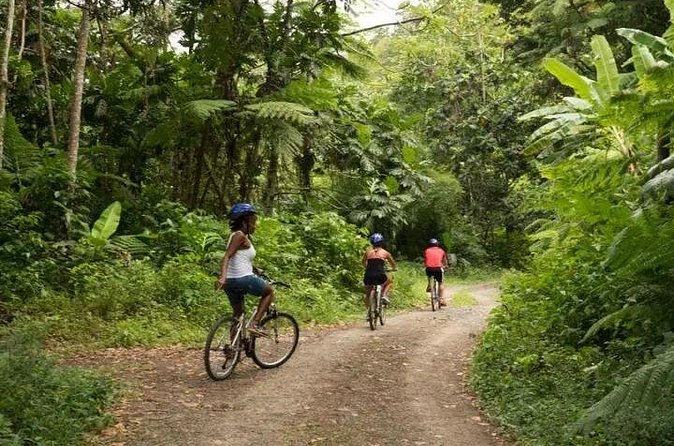 Day of Adventure - Zipline and Hike or Bike - Is the $126.93 price fair?