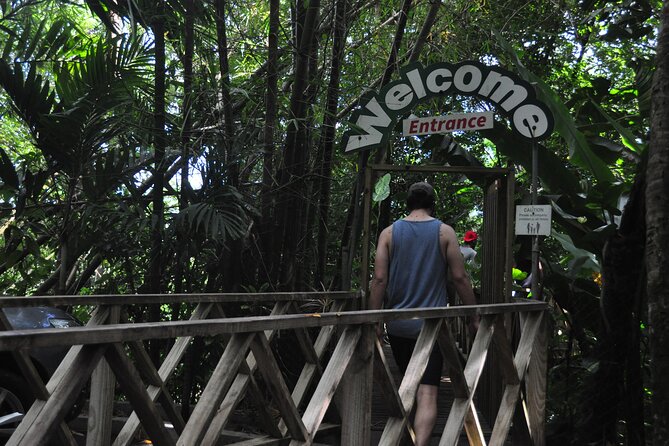 Drive and Fly - Buggy and Zipline - Who will enjoy this most?
