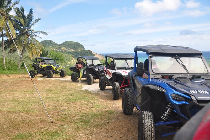 Drive and Fly - Buggy and Zipline - Taking the wheel in a two or four-seat buggy