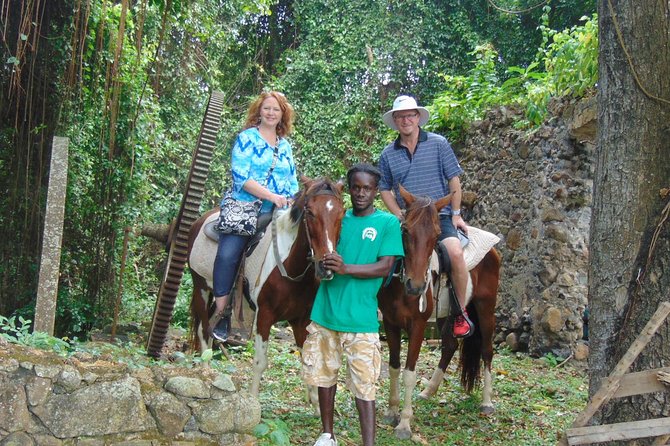 East Coast Horseback Riding & Waterfall Excursion - Key points before you saddle up