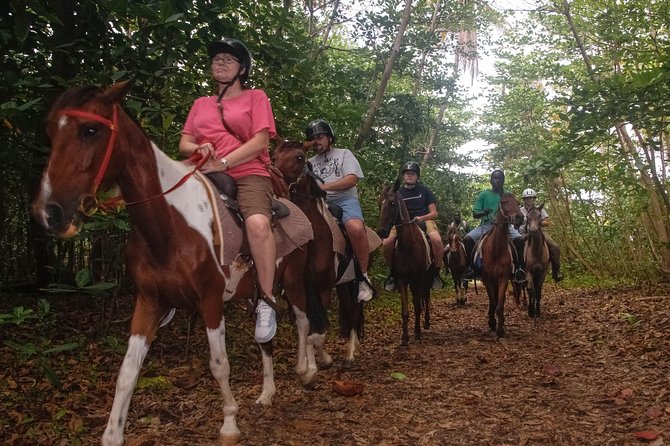 East Coast Horseback Riding & Waterfall Excursion - What the riding feels like on the trail
