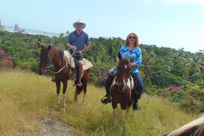 East Coast Horseback Riding & Waterfall Excursion - Guides, family care, and the small-group setting