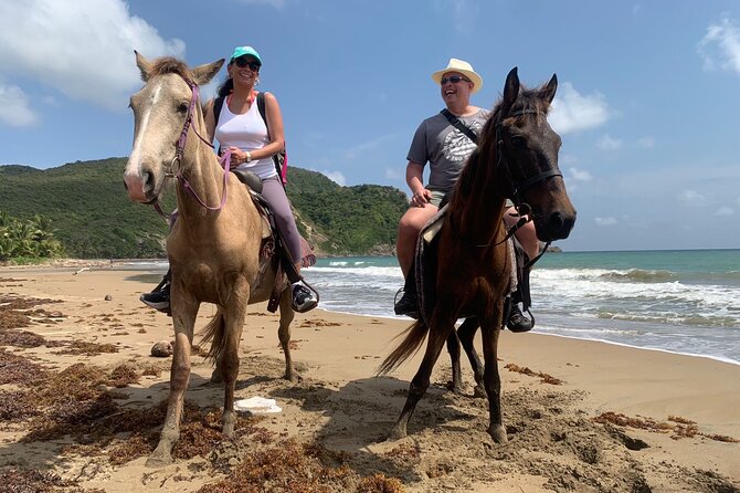 East Coast Horseback Riding, Waterfall & Soufriere Private Tour - Fond d’Or Bay: horseback riding beyond the beach