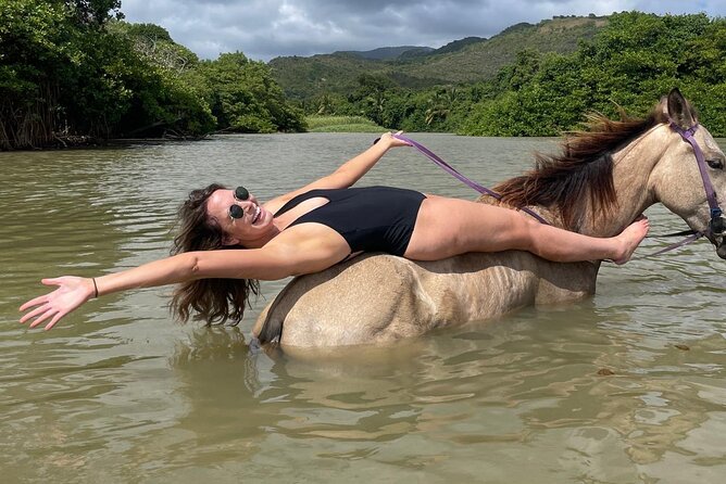 East Coast Horseback Riding, Waterfall & Soufriere Private Tour - Is $240 per person good value?