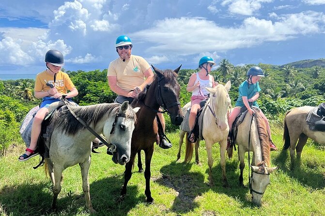East Coast Horseback Riding, Waterfall & Soufriere Private Tour - Who will enjoy this most