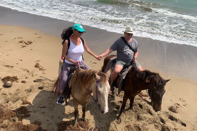 East Coast Horseback Riding, Waterfall & Soufriere Private Tour - Useful planning notes for the day