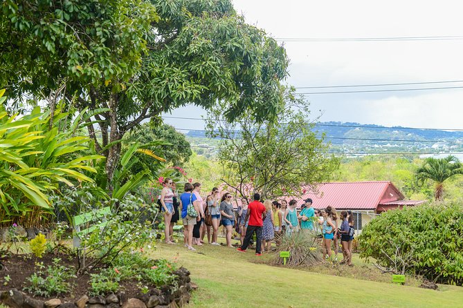 Essence of St Lucia Heritage Experience - A useful cultural morning in St Lucia