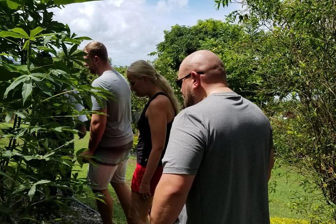 Essence of St Lucia Heritage Experience - How the $85 price works out