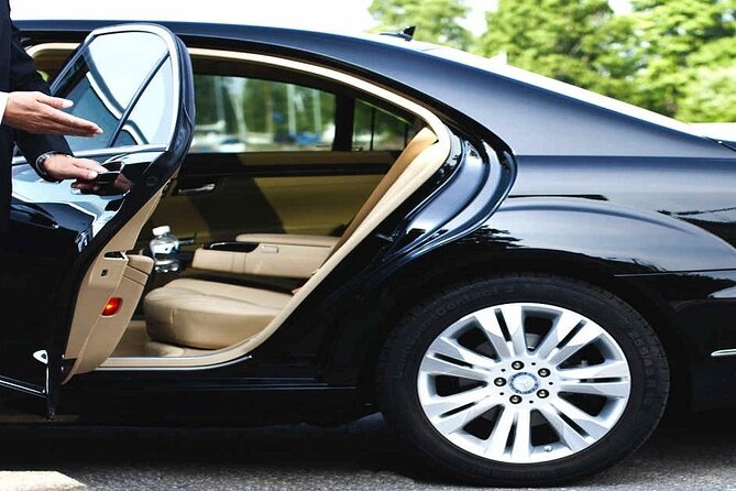 Fast Track (Expedited Arrival) & FREE Transfer To Hotel/Airbnb - Finding the host after you leave the plane