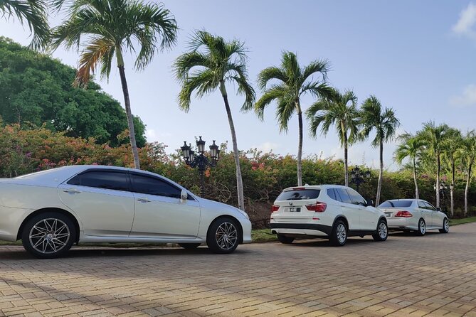 Fast Track (Expedited Arrival) & FREE Transfer To Hotel/Airbnb - The private ride to your resort or Airbnb