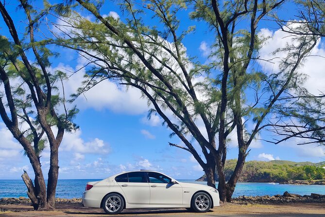First Class Private Transfers from UVF Airport To Any SANDALS Resort (Roundtrip) - What happens after immigration and customs