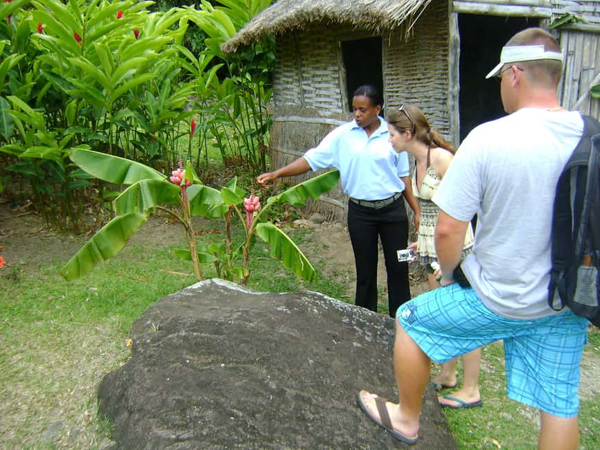 From Castries: Full-Day Catamaran Tour to Soufriere - Swimming and snorkeling on the way back