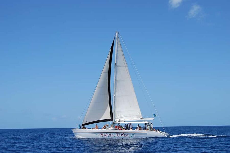 From Castries: Full-Day Catamaran Tour to Soufriere - Sailing past the Pitons on the west coast