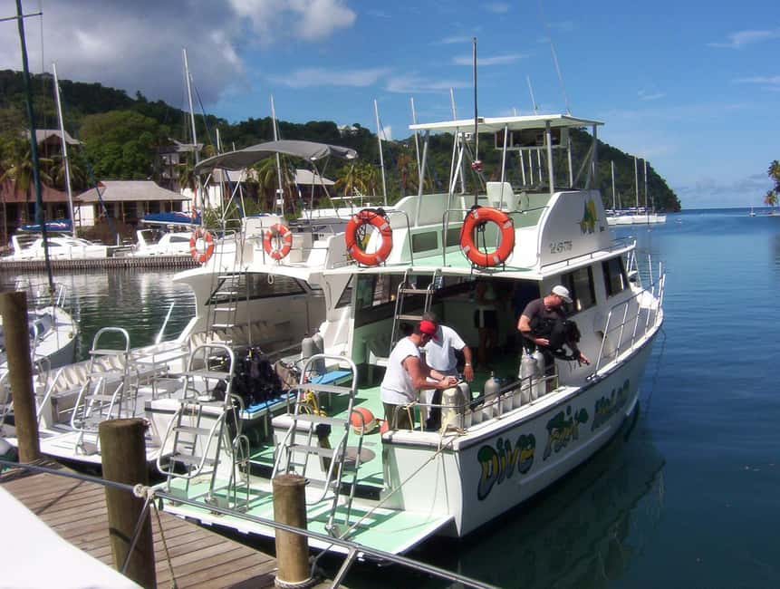 From Castries: St. Lucia Scuba Diving Excursion - Who will get the most from this outing