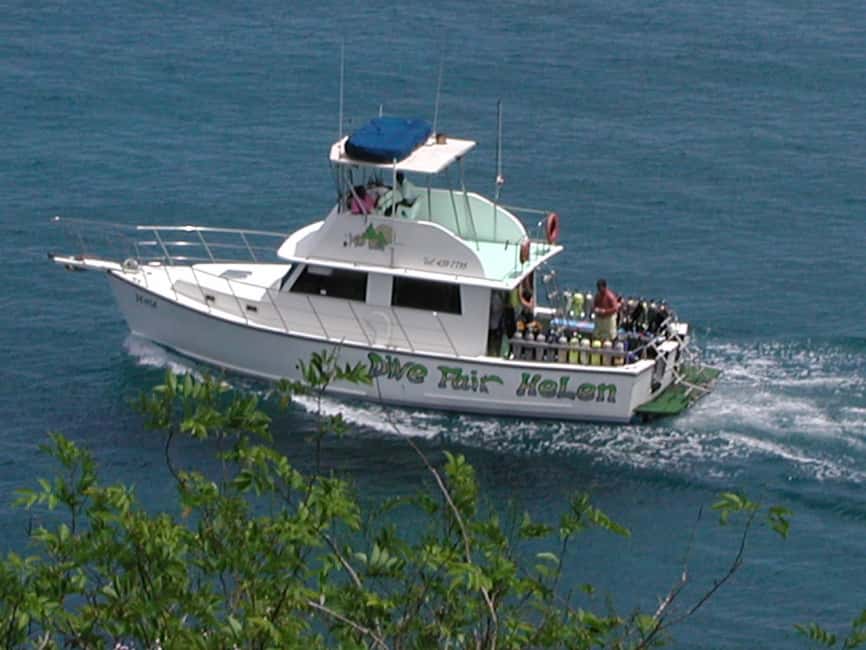From Castries: St. Lucia Scuba Diving Excursion - Hotel or cruise-ship pickup keeps the day simple