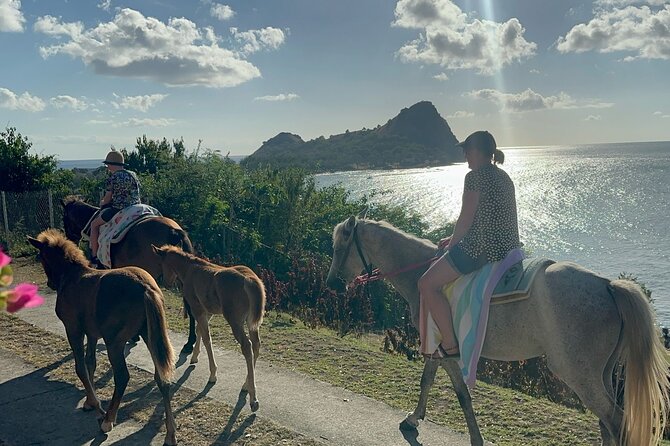 Gros Islet Village Horseback Riding run with Dore's riding Stable - Riding from Cap Estate toward the St. Lucian coast