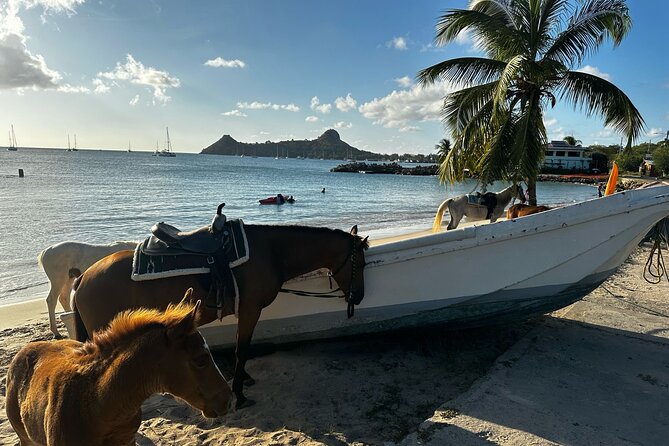 Gros Islet Village Horseback Riding run with Dore's riding Stable - Returning uphill to Cap Estate