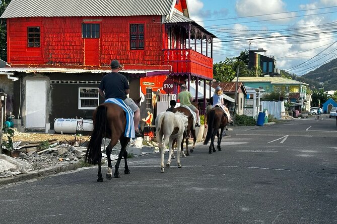 Gros Islet Village Horseback Riding run with Dore's riding Stable - Horses, guides, foals, and Silver the dog