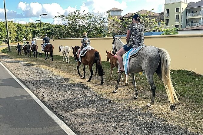 Gros Islet Village Horseback Riding run with Dore's riding Stable - Who will enjoy this two-hour ride most