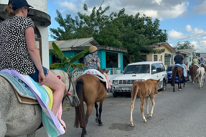 Gros Islet Village Horseback Riding run with Dore's riding Stable - Coastal views past Pigeon Pointe Beach
