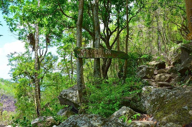 Gros Piton Hike St Lucia - Who should book this climb