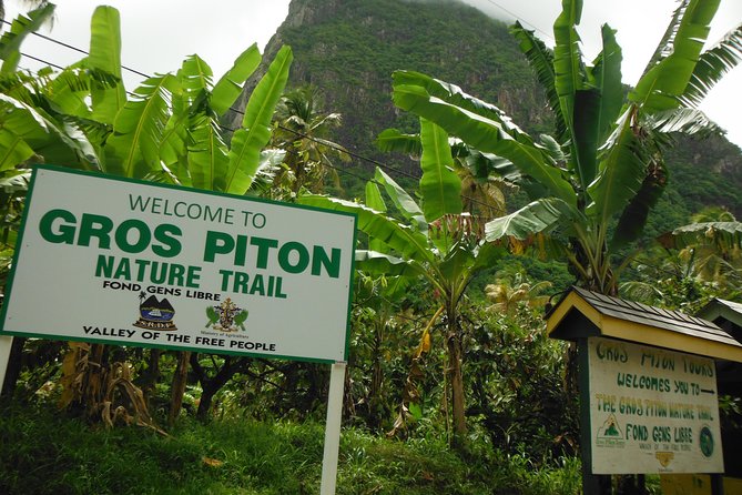 Gros Piton Hike with Dannyboy & Co. - What the climb feels like from the first steps