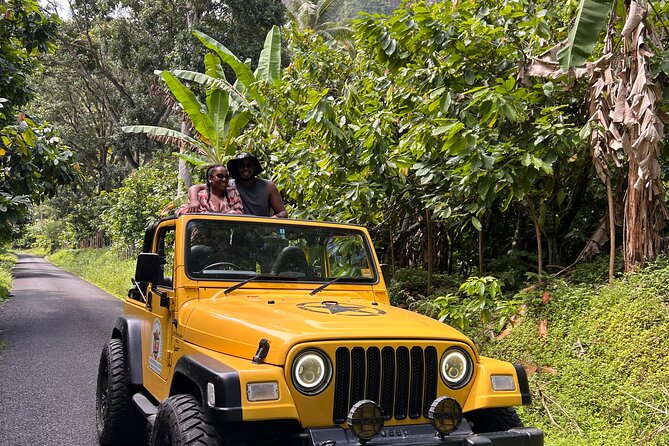 Half Day Private Tour in St. Lucia Jeep Wrangler - Key Points Before You Book