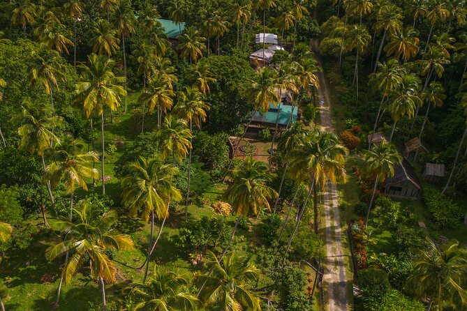 Historical 18th Century Estate Tour with Coconut Tasting - The Monplaisir estate house